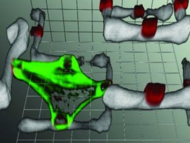 3D Scaffold for Cell Cultures