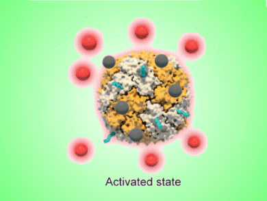 Protein-Based Probes for Tumor Imaging