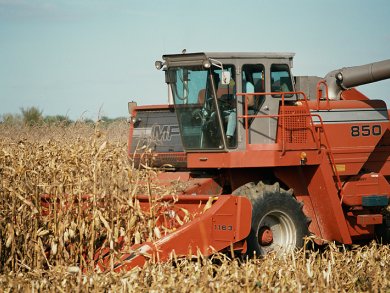 Postharvest Technology for Developing Countries