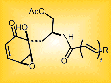 Synthesis of Scyphostatin