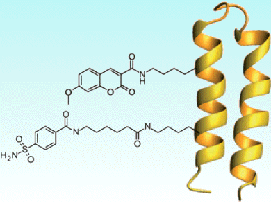 Protein Discrimination in Human Blood