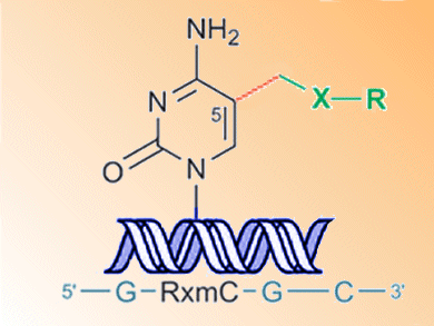 DNA Labeling for hmC Detection