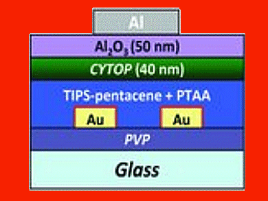 Bilayer Organic Transistor