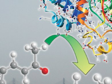 Chemoenzymatic Synthesis: Recent Developments