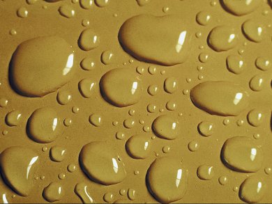 Water Repellent Transferable Graphene