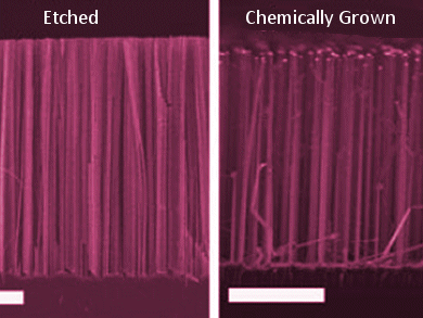 Improving Silicon Nanowires-Based Solar Cells