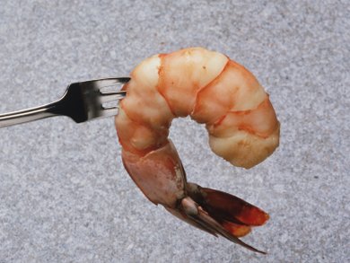 Occurrence of Semicarbazide in Prawns