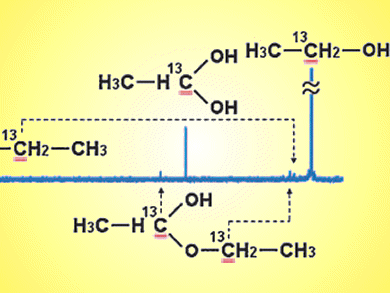 Intermediates in Ethanol Fuel Cells