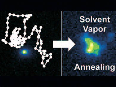 Polymer Annealing One Chain at a Time