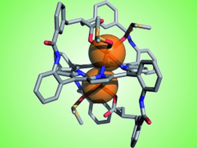 Angewandte Chemie 7/2011: Oxidations, Reductions, and More