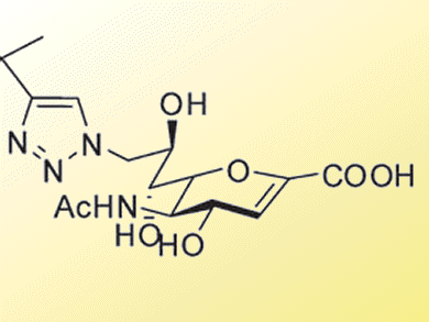 Novel Anti-Influenza Drugs