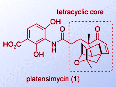 Simple Synthesis of New Antibacterial Family