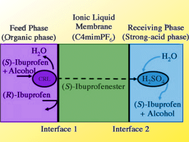 Chiral Separation of Ibuprofen