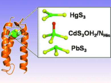 Angewandte Chemie 9/2011 – Continuous Growth