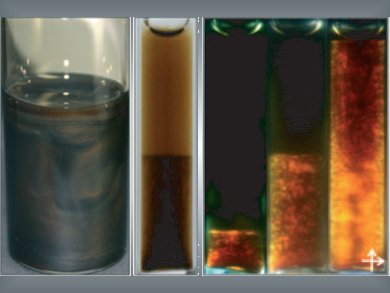 Graphene Oxide Liquid Crystals