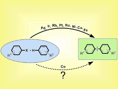 Direct Arylation of Unactivated Arenes