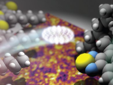 Small Molecules for Organic Solar Cells