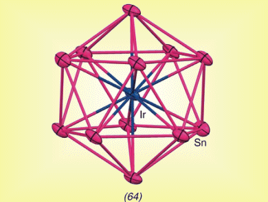 2010 Trends in Inorganic Chemistry