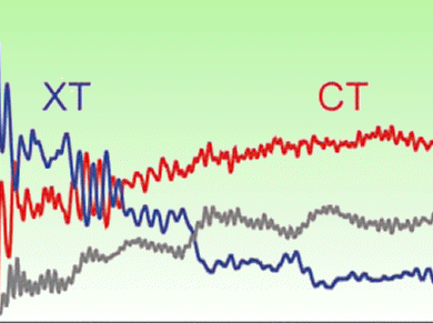 2010 Trends in Theoretical Chemistry