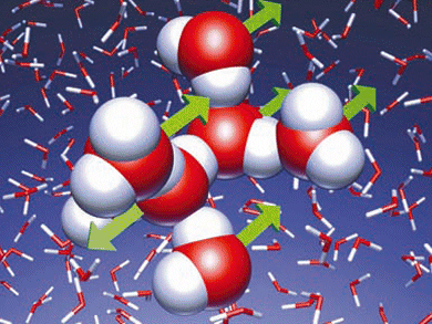 2010 Trends in Physical Chemistry