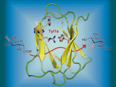 2010 Trends in Biochemistry