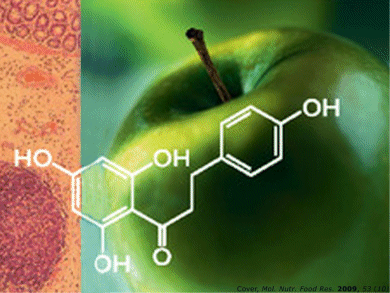 2010 Trends in Food Chemistry