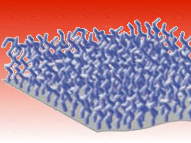 2010 Trends in Macromolecular Chemistry