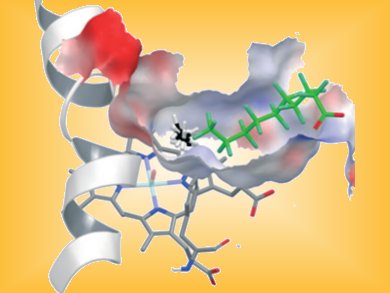 Tuned Enzymes for Feedstock Production