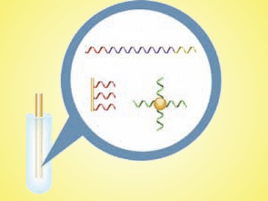 Solid-Phase PCR in Real Time