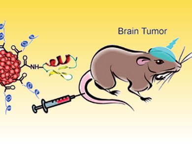 Tumor Imaging with Polymer Dots