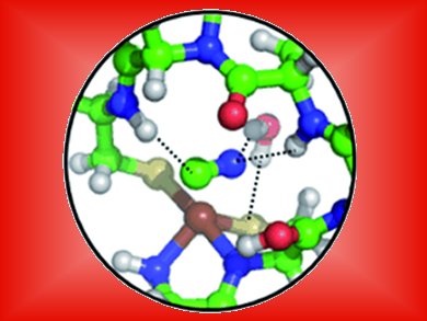 Angewandte Chemie 13/2011: A Great Model