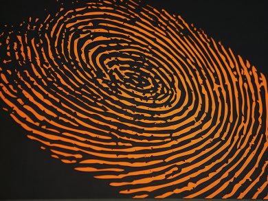 Ultrafast Fingerprint Recognition