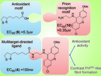 Multitarget Drugs against Prion Diseases