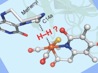 Hydrogenases – Achievements and Expectations