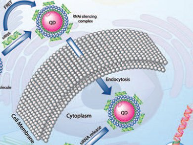 Quantum Dots for Gene-Silencing