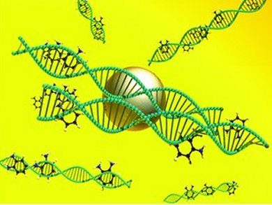 Faster Way to Detect DNA