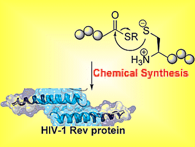 Total Synthesis of HIV-1 Rev Protein