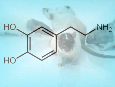 Dopamine Testing on the Move