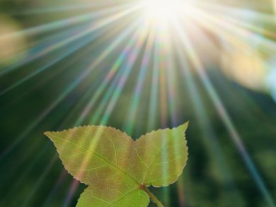 First Practical Artificial Leaf