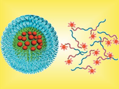 Endocytic-Targeting, pH-Responsive Nanoparticles
