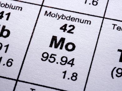 Molybdenum Catalysts for Fuel Cells