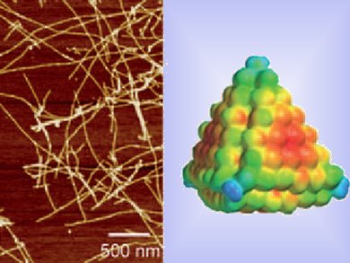 Stopping Amyloid Fibrillation with Nanoparticles