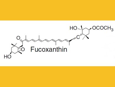 Fucoxanthin – Healthy Carotinoid from Seaweed