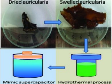 Supercapacitors Made From Fungi