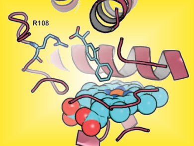 Making Metabolites by Mimicking Enzymes