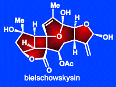 Efficient Synthesis of Bielschowskysin Core