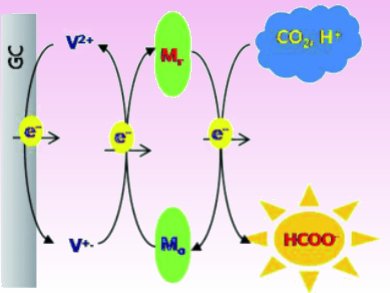 Microbes as CO2 Conversion Catalysts