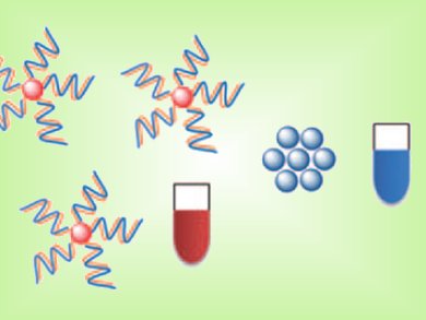 Genotyping by Color