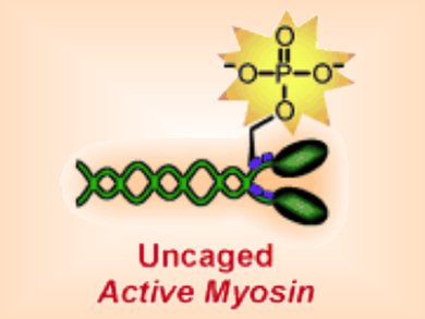 Nano-Motor with a Light Switch