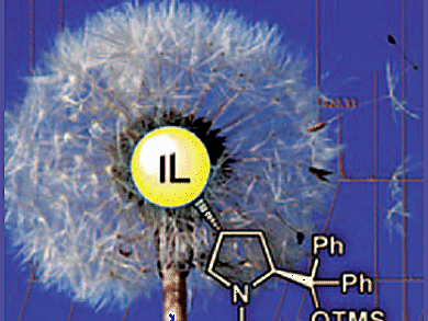 Name Your Poison: Identification of Poisoned Catalyst Culprits